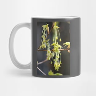 Nature's Earrings Mug